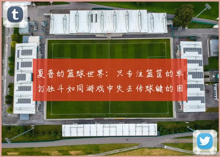 夏普的篮球世界：只专注篮筐的单打独斗如同游戏中失去传球键的困境